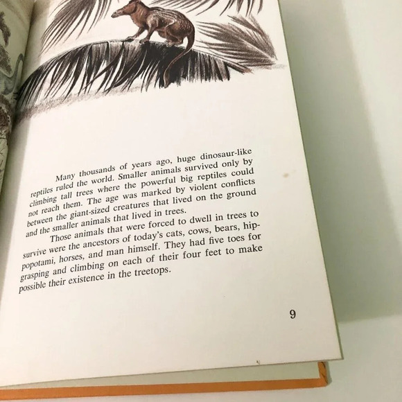 Vintage  1965 The History of the Horse by William DuPuy Hardcover Book - Picture 10 of 16